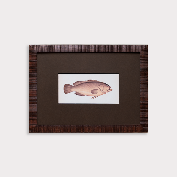 The School of Fish Artwork