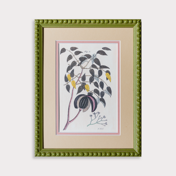 The Green Botanicals Artwork