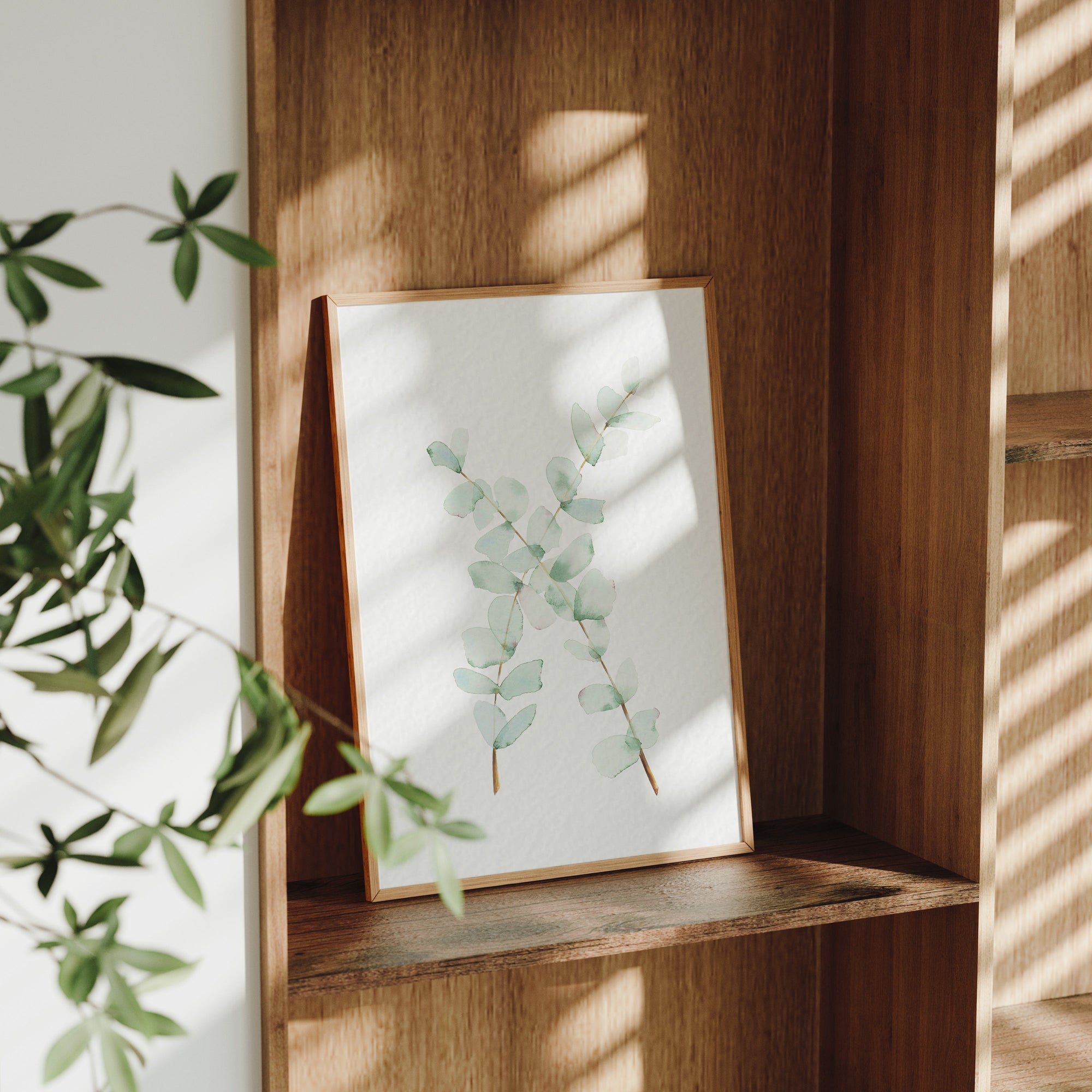Eucalyptus Fine Art Print
