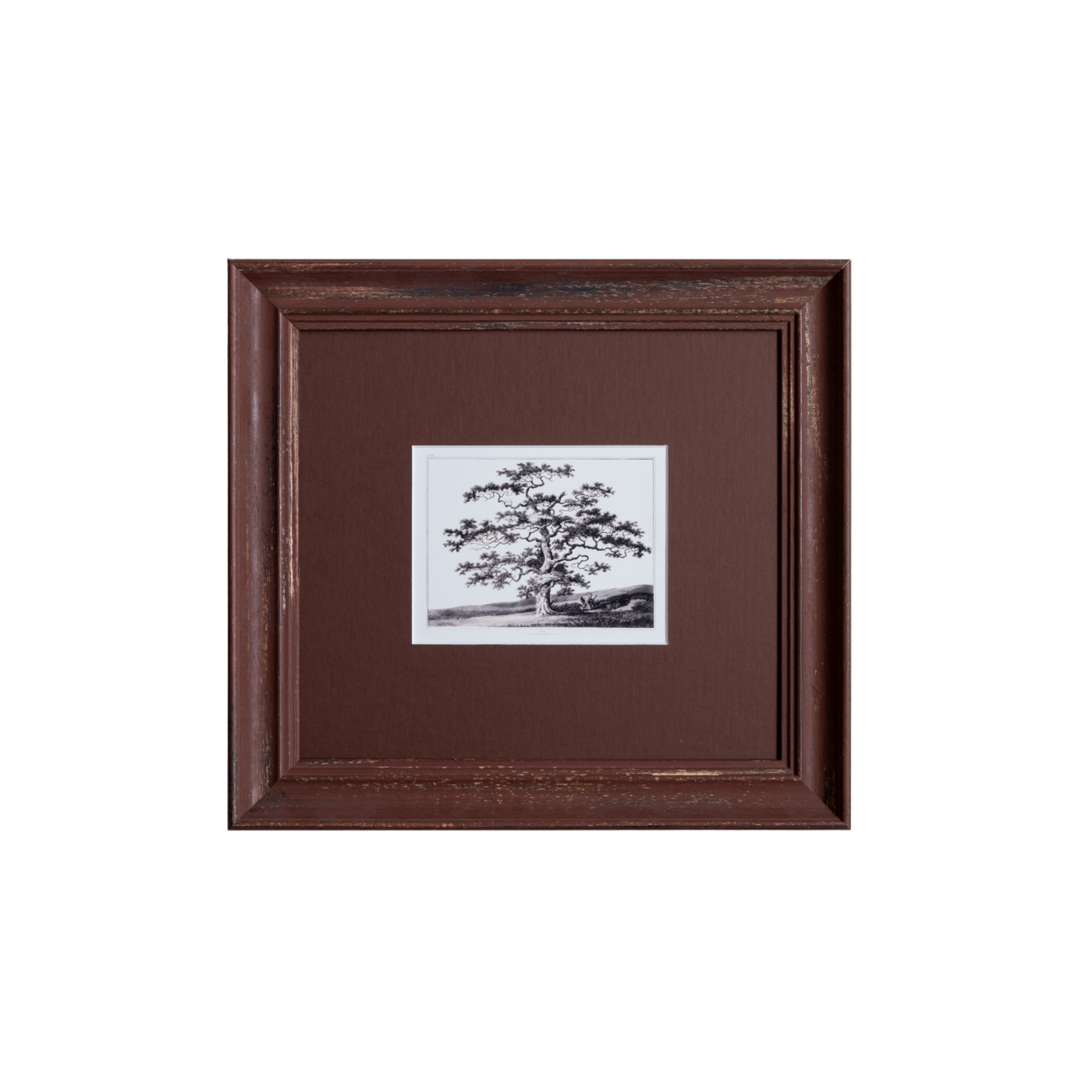 The Old Oak Tree Artwork