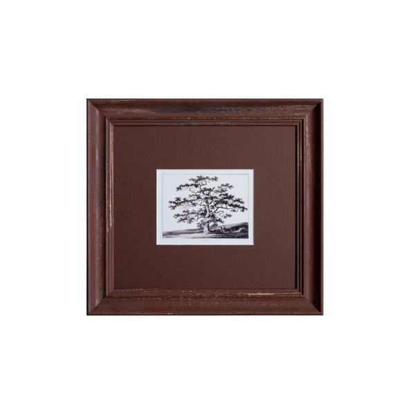 The Old Oak Tree Artwork