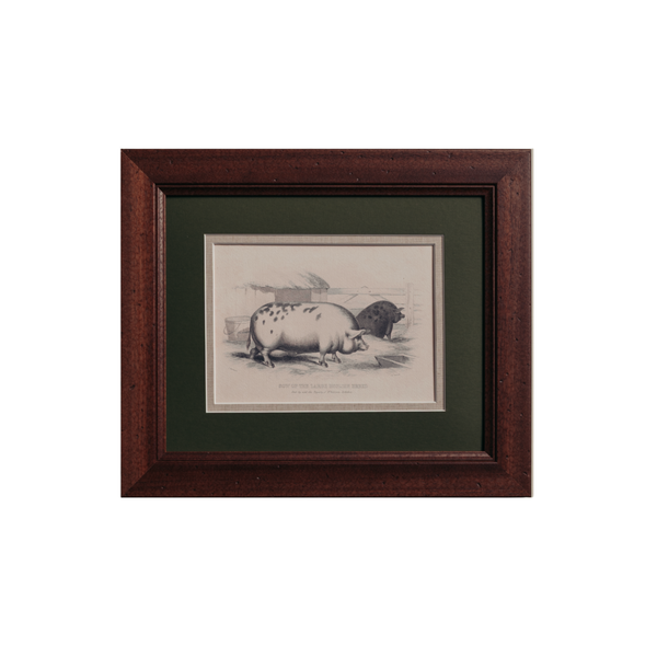 The Grumpy Pigs Artwork