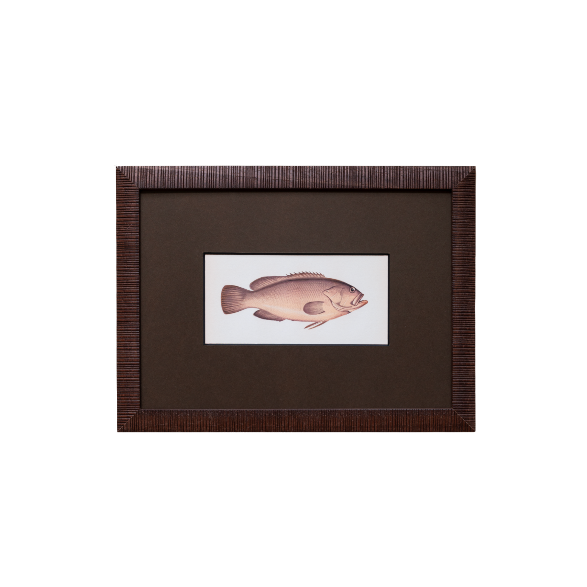 The School of Fish Artwork