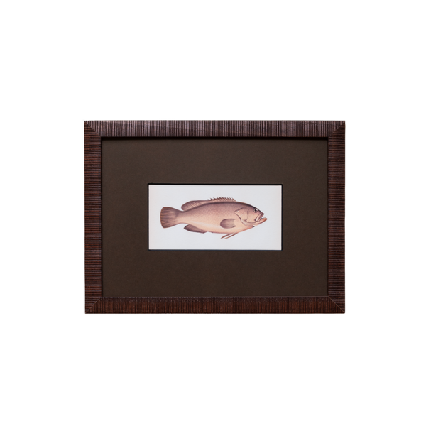 The School of Fish Artwork