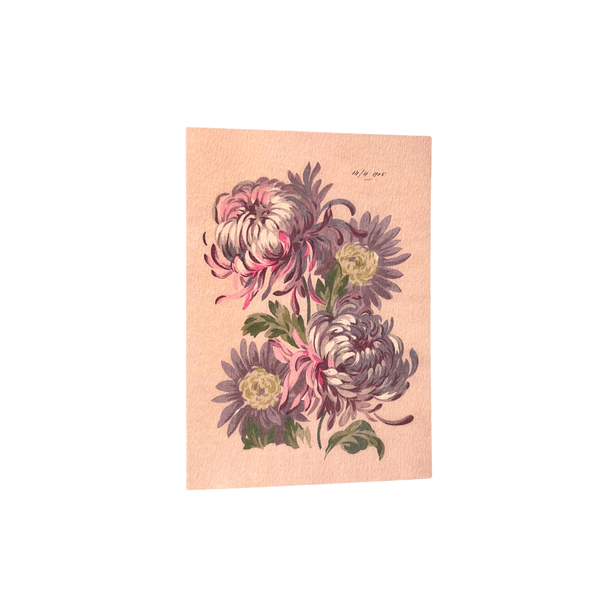 Connie Blooms - Art Cards