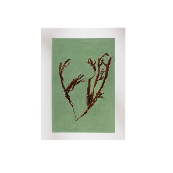 Bladder Wrack Fine Art Print