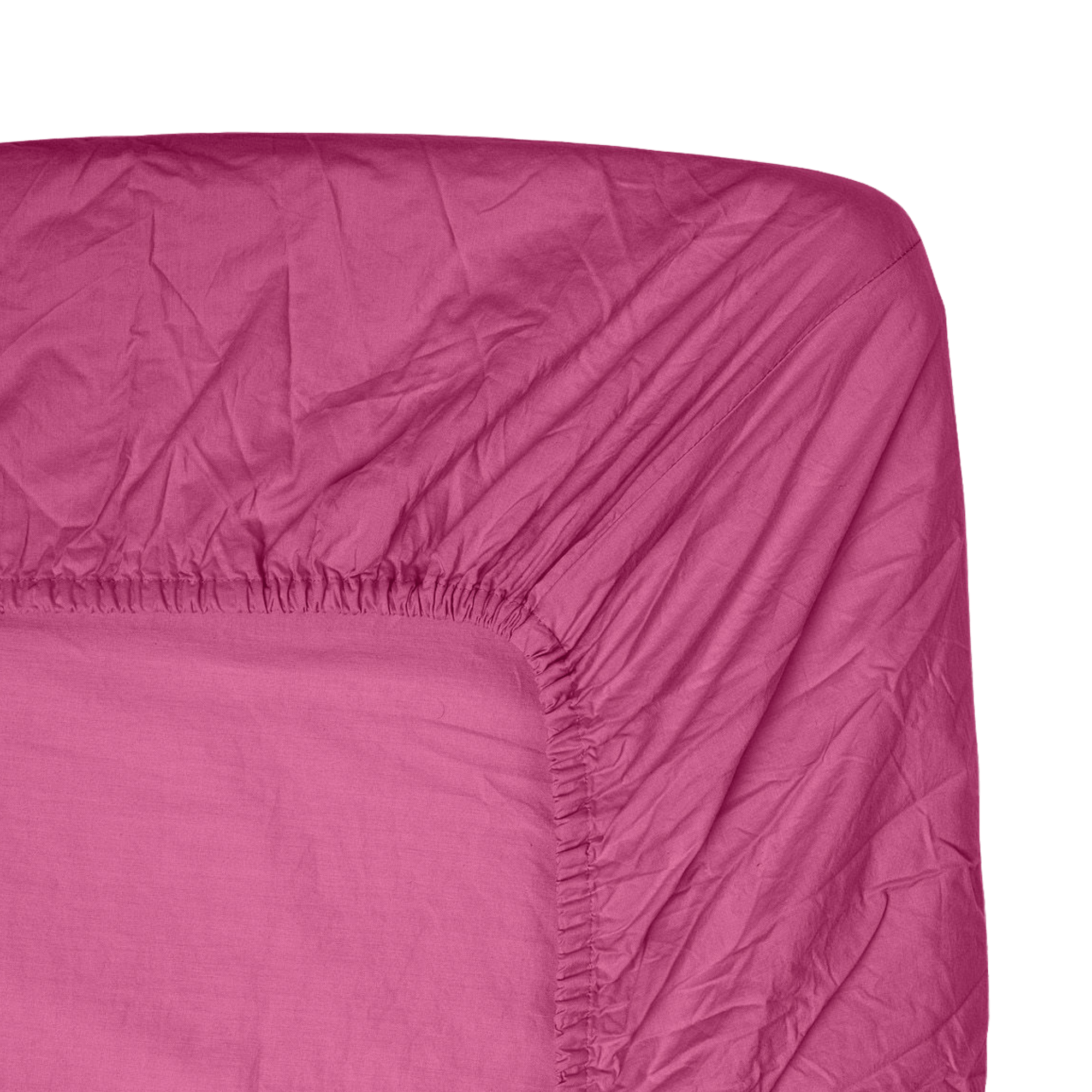 Fitted Sheet Pitaya