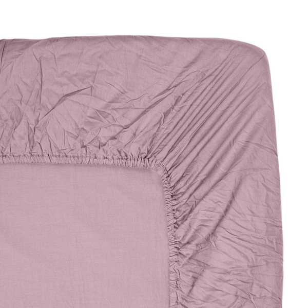 Fitted Sheet Aster