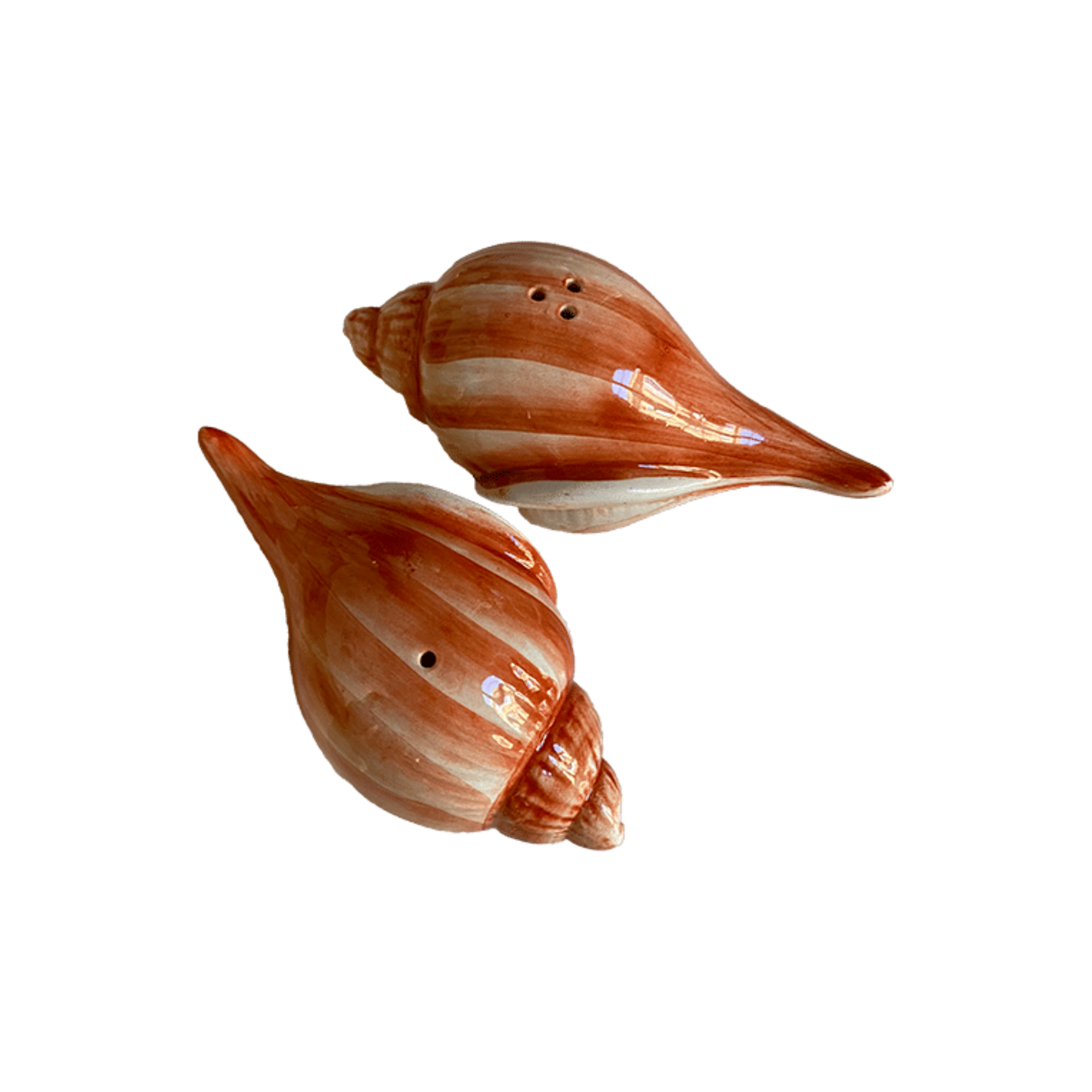Seashell Salt & Pepper Shakers