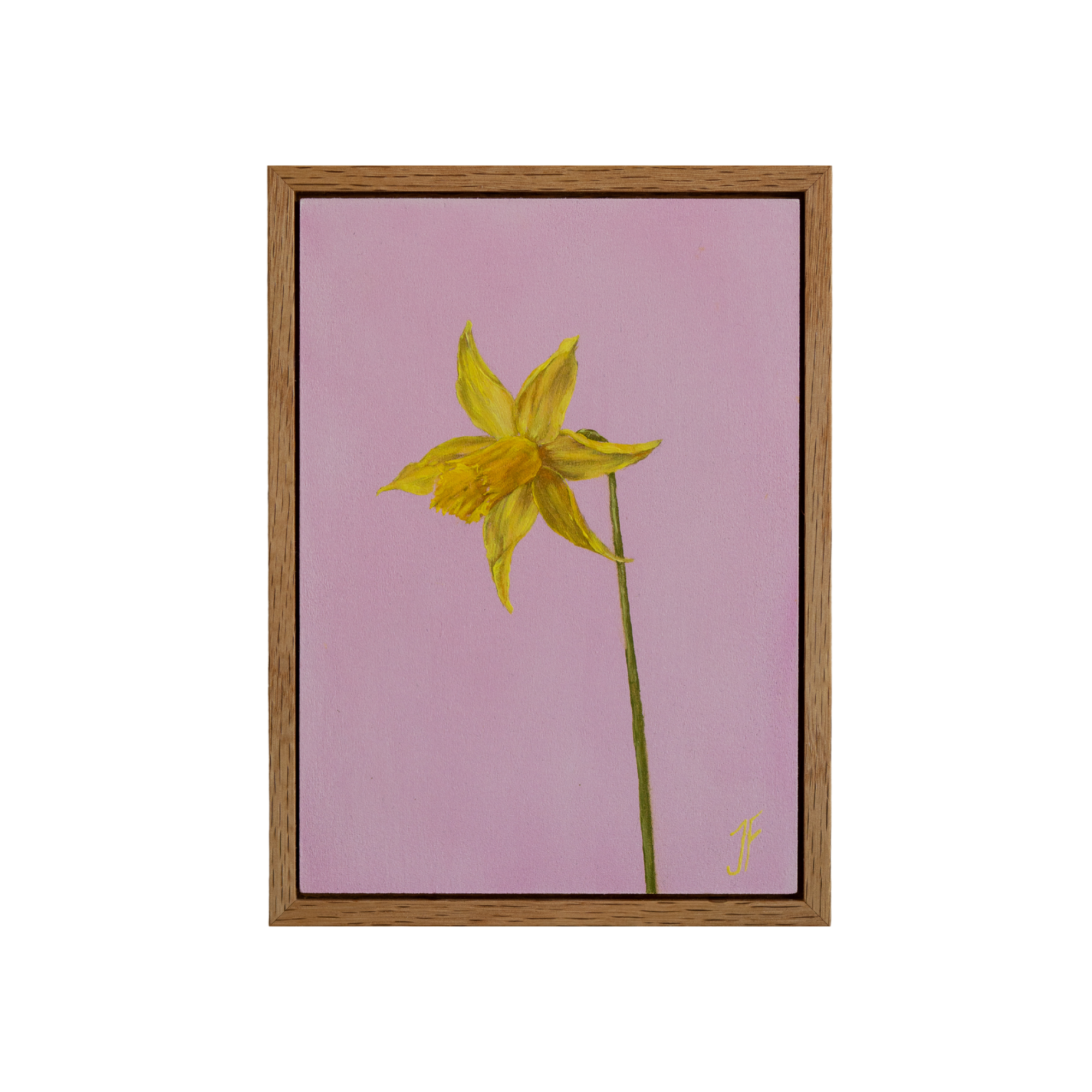 Daffodil Painting