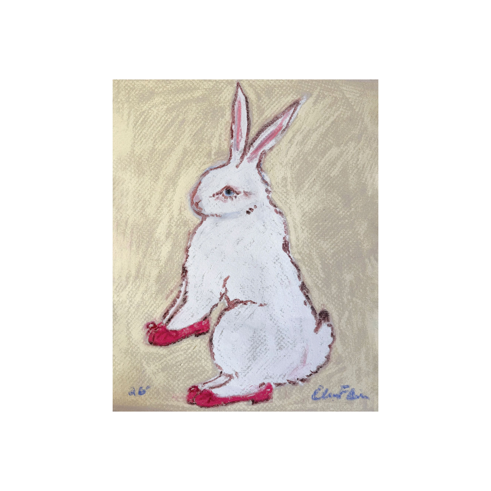 Bun in Repettos Print