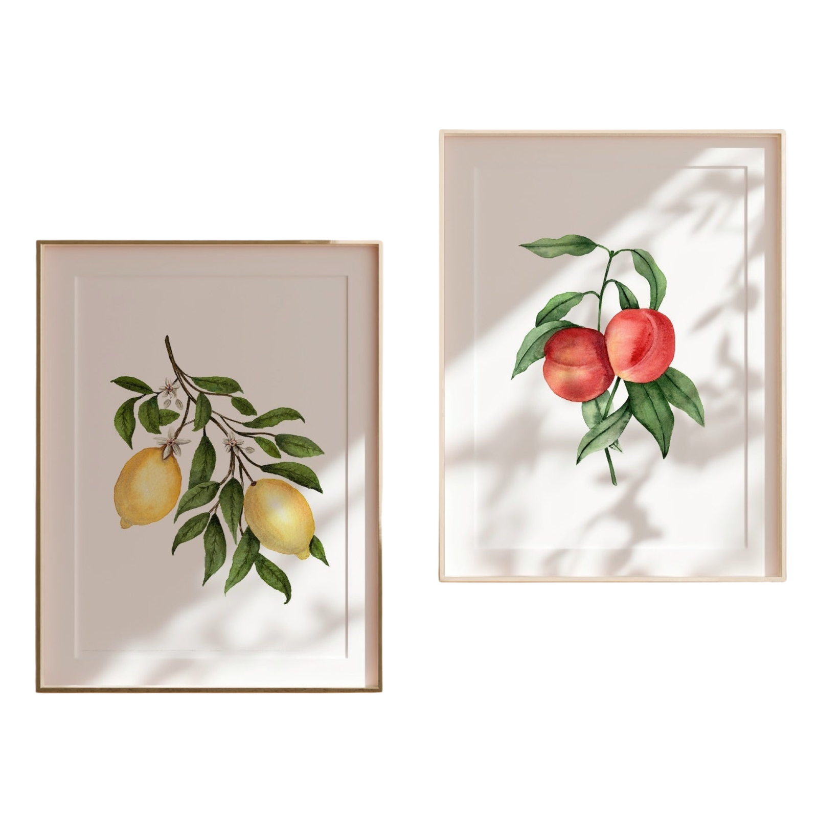 Peaches Fine Art Print