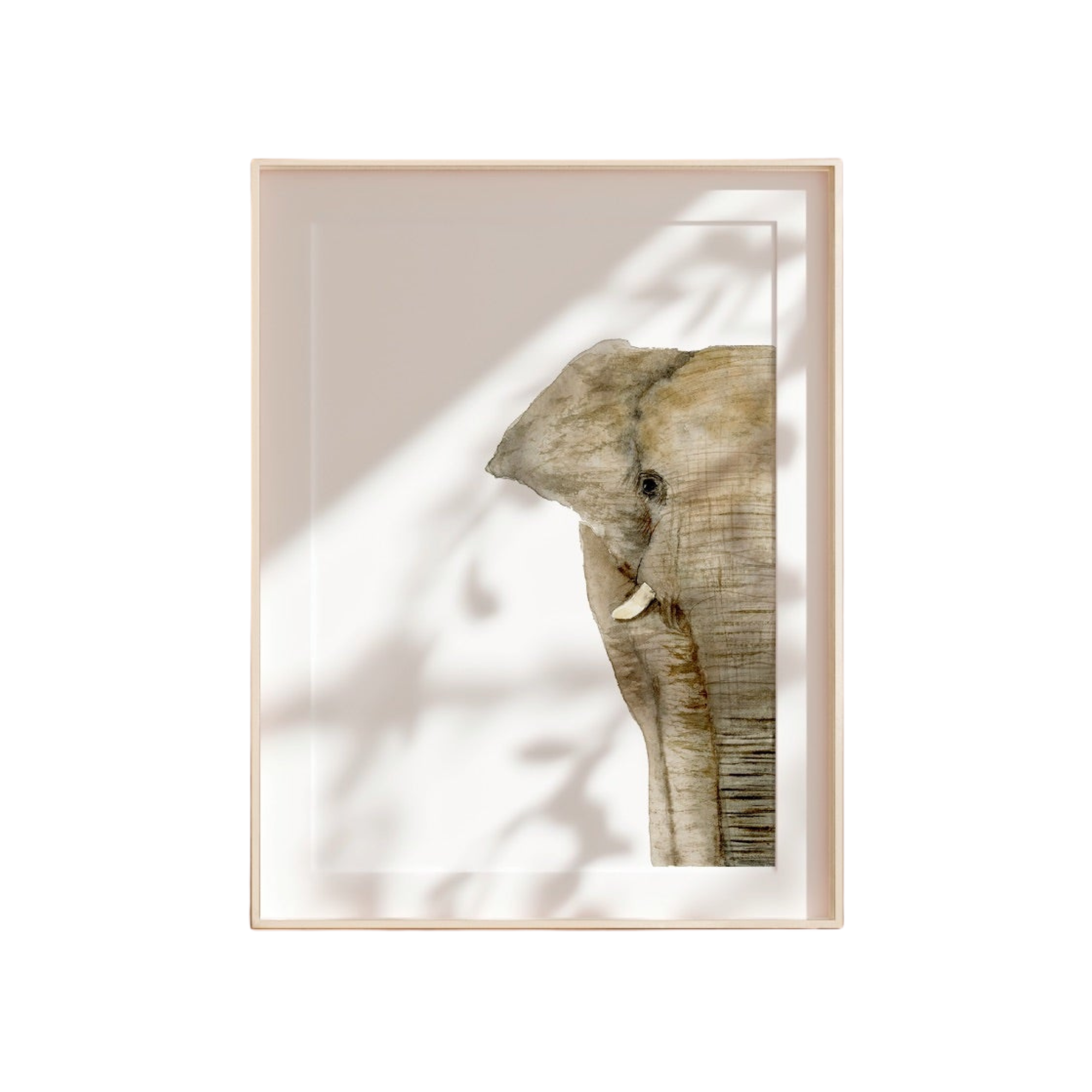 Elephant Limited Edition Fine Art Print