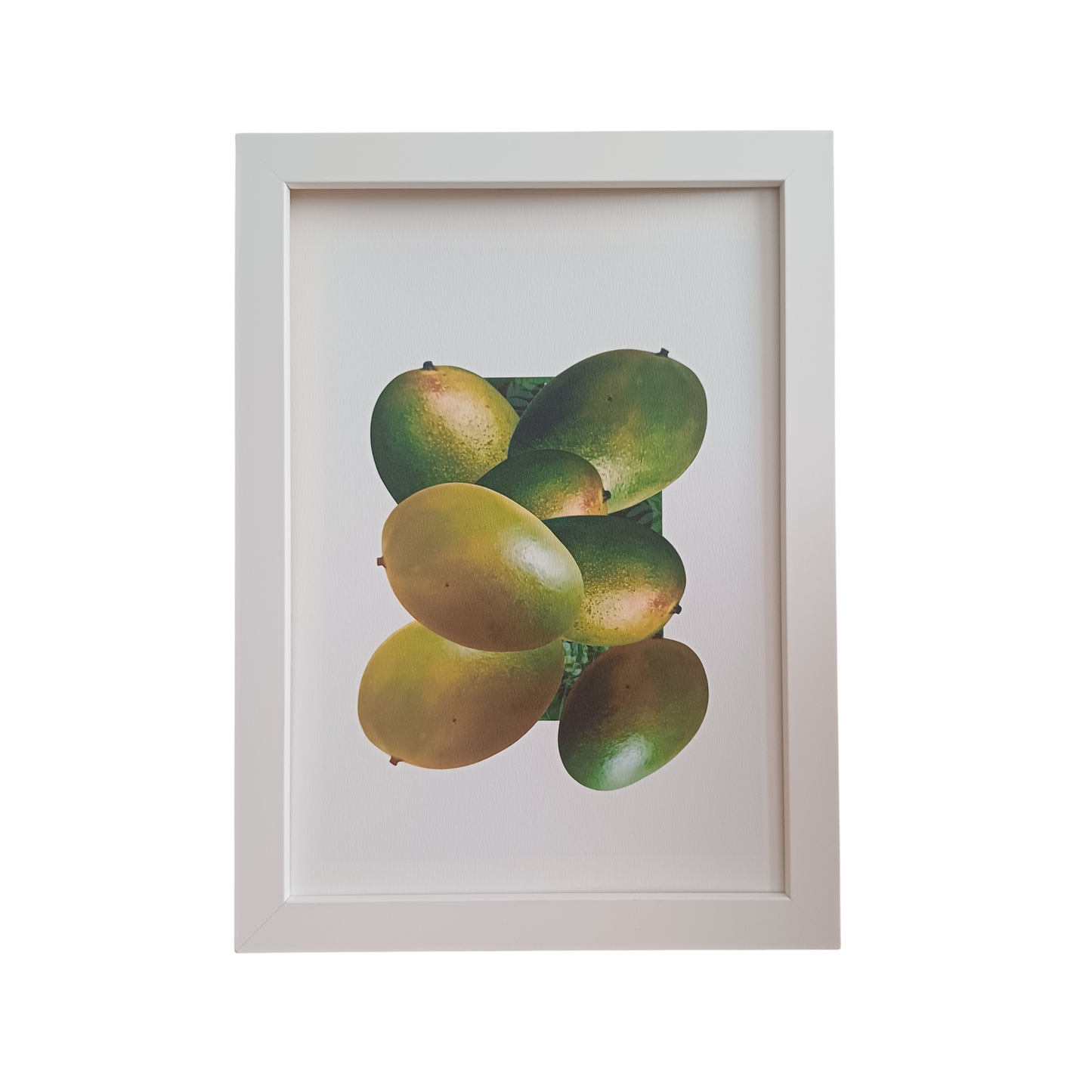 Who Likes the Mango Fine Art Print
