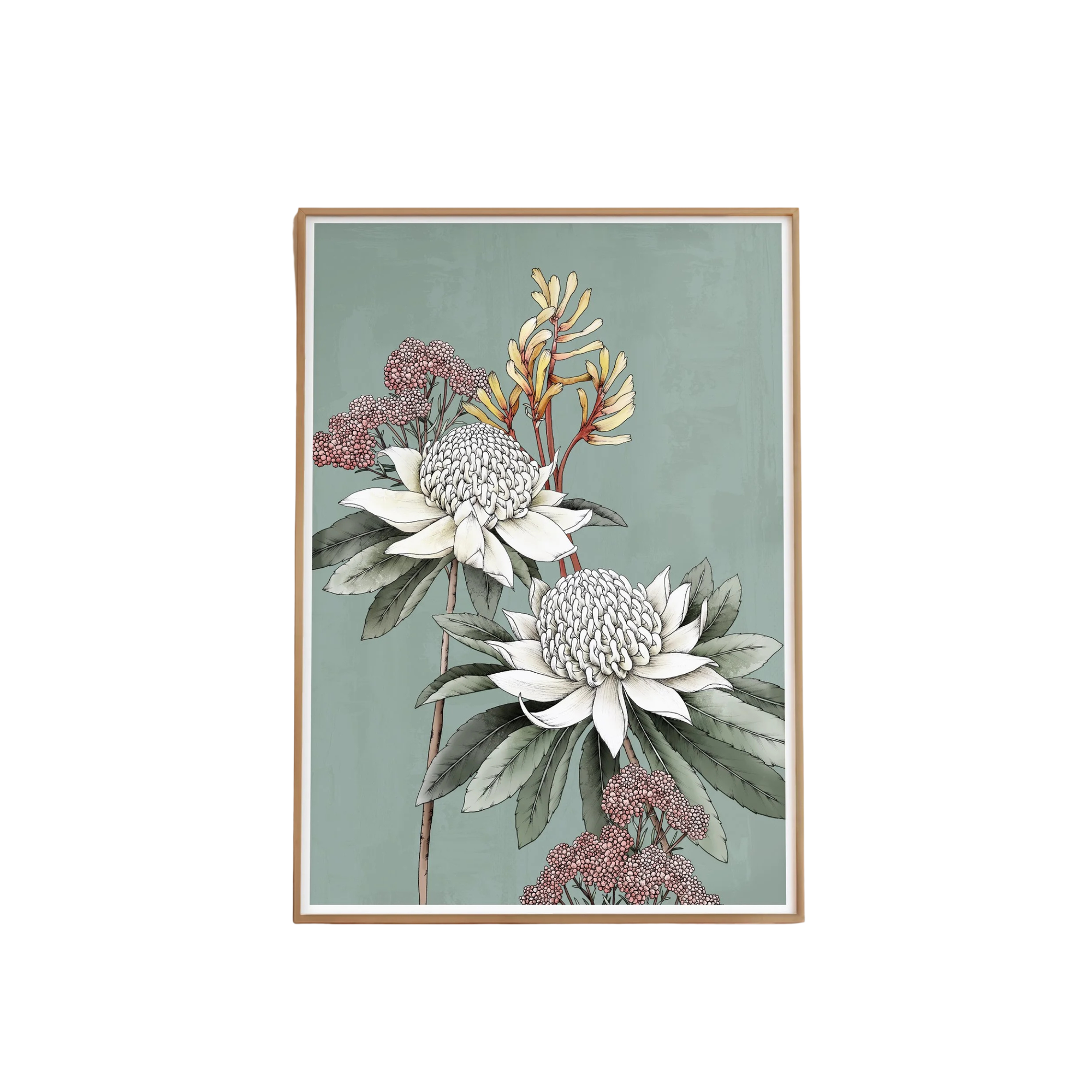 Waratah Portrait Artprint