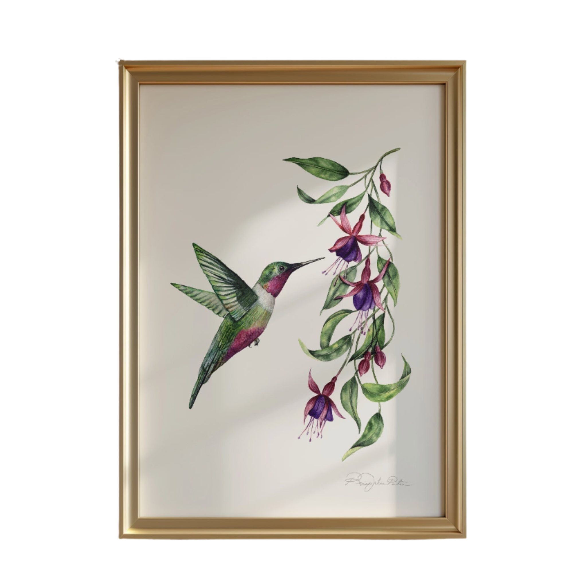 Hummingbird Fine Art Print
