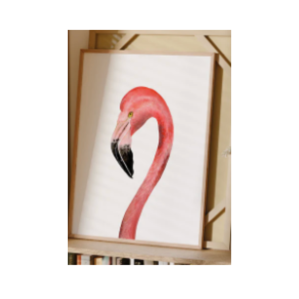 Flamingo Limited Edition Fine Art Print