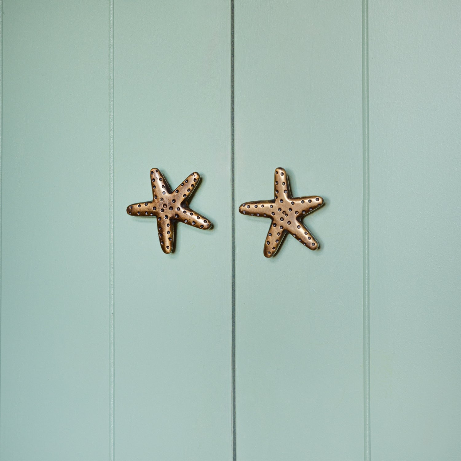 Starfish Knob, Antique Brass