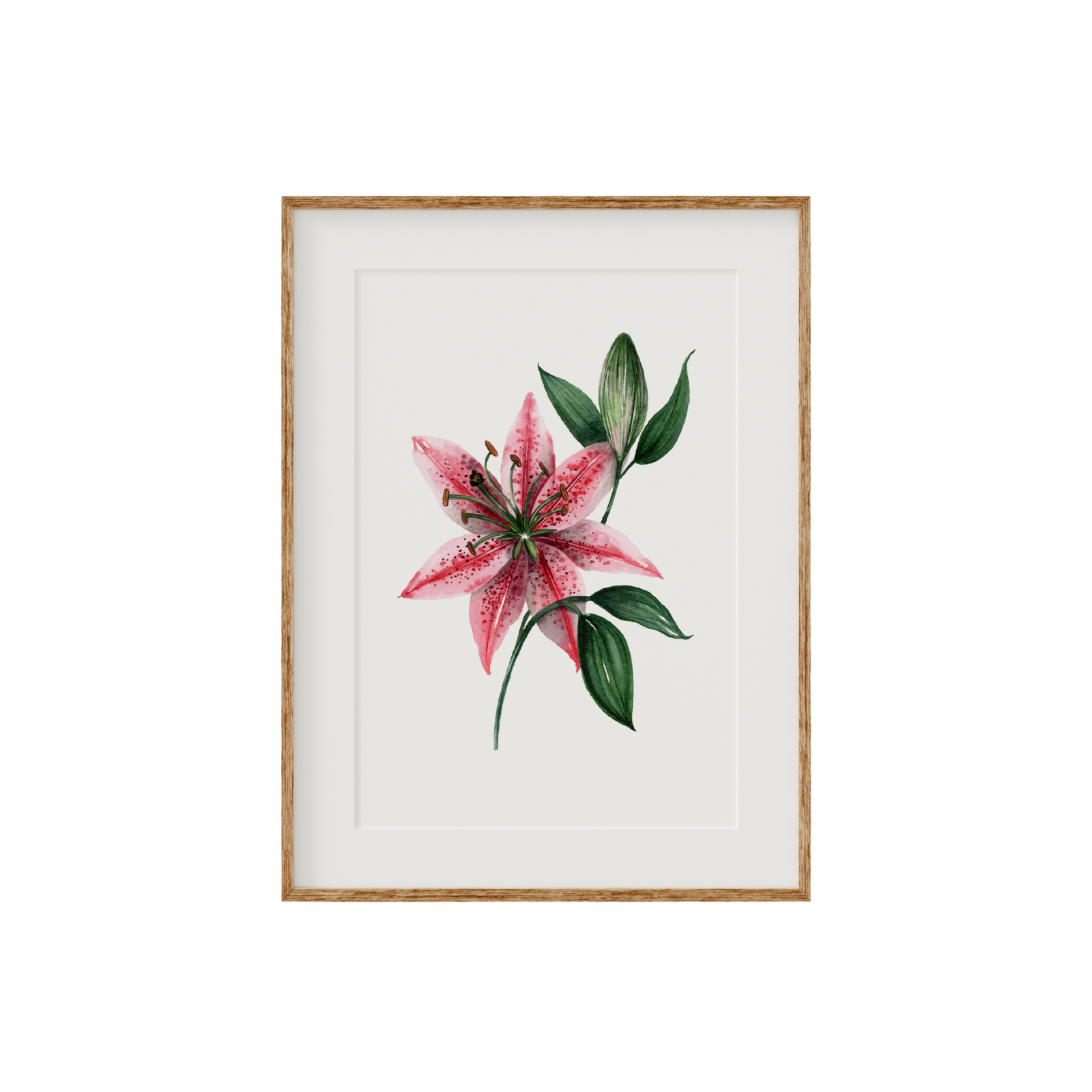 Stargazer Lily Fine Art Print