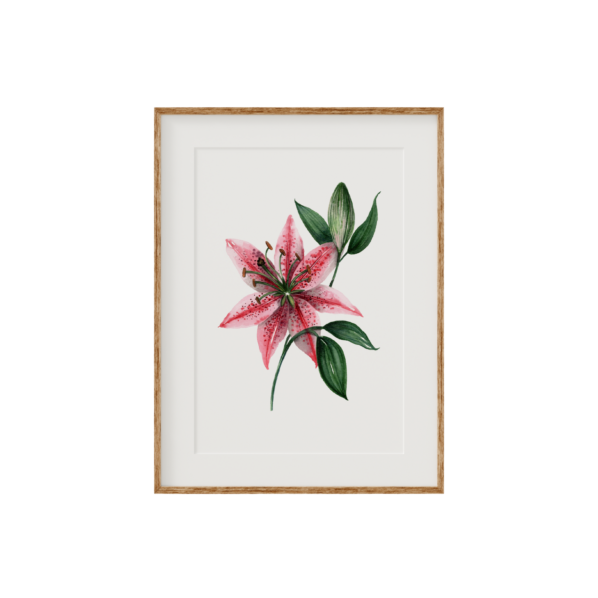 Stargazer Lily Fine Art Print