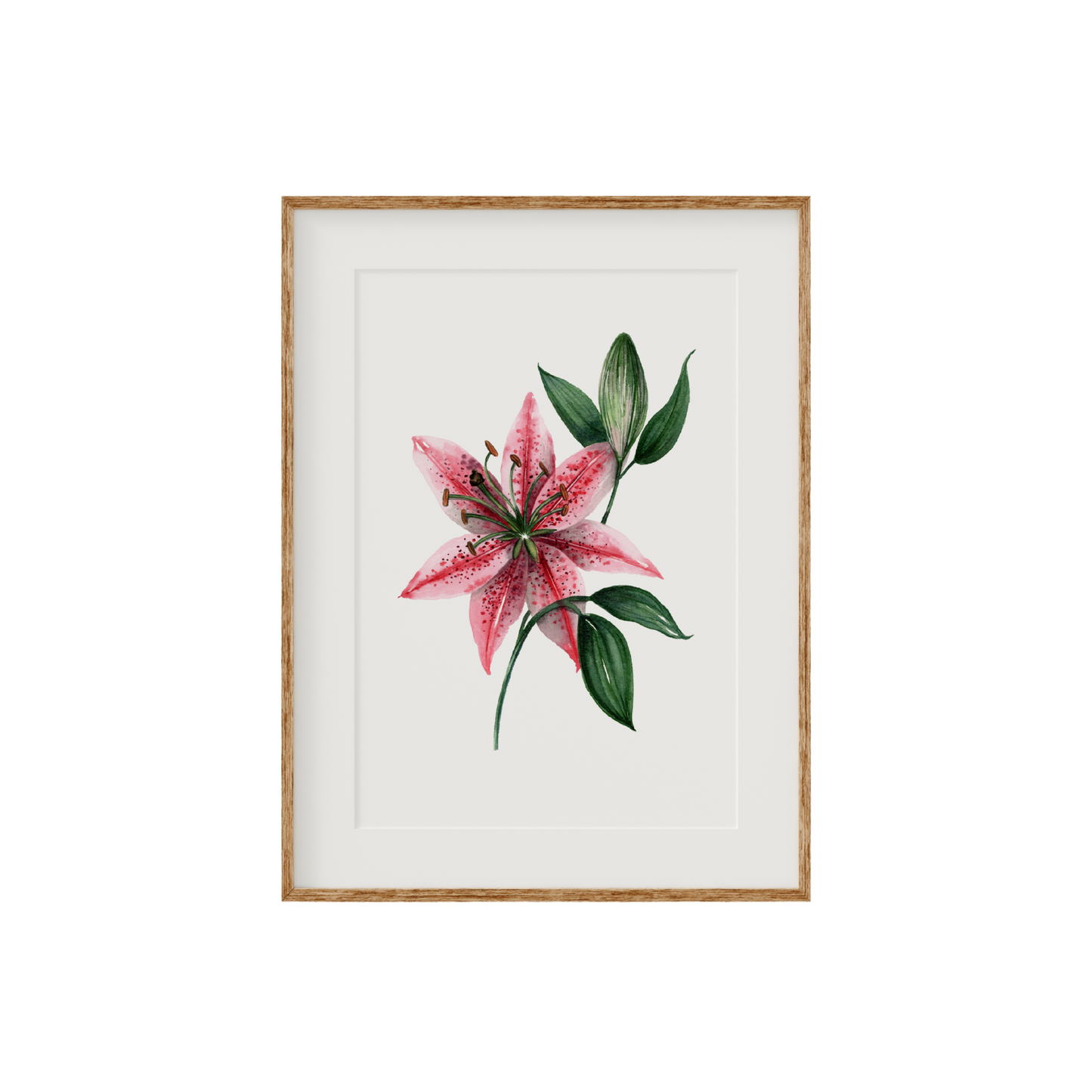 Stargazer Lily Fine Art Print