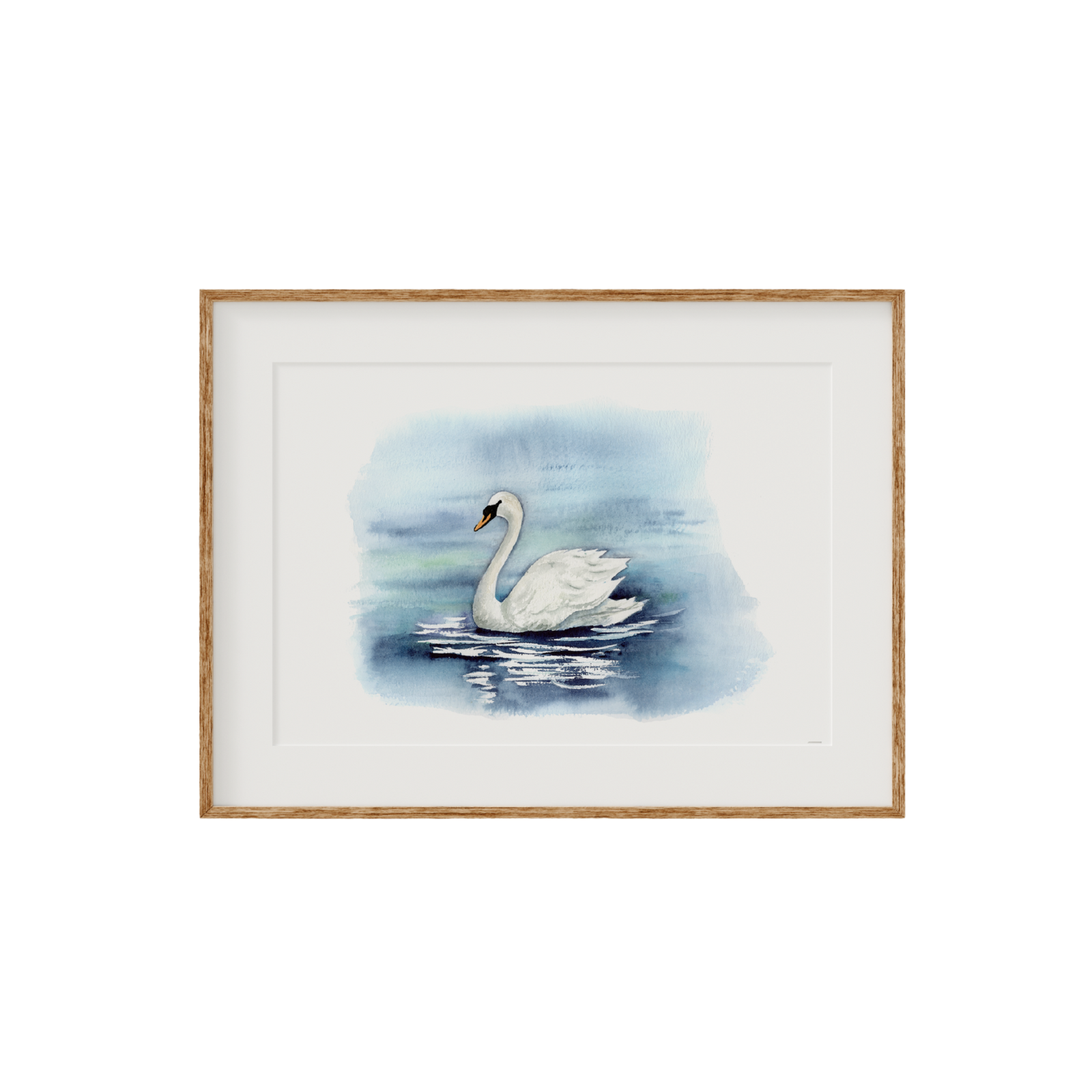 Swan Fine Art Print