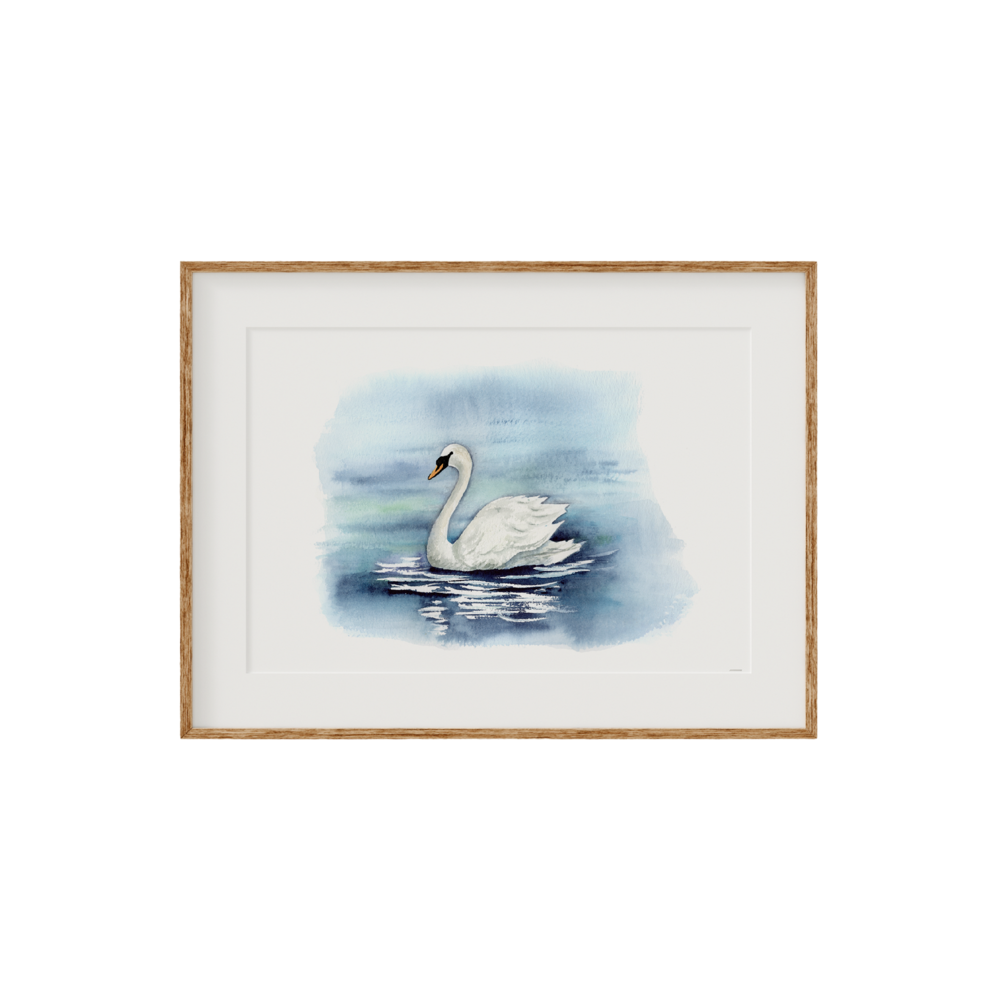 Swan Fine Art Print