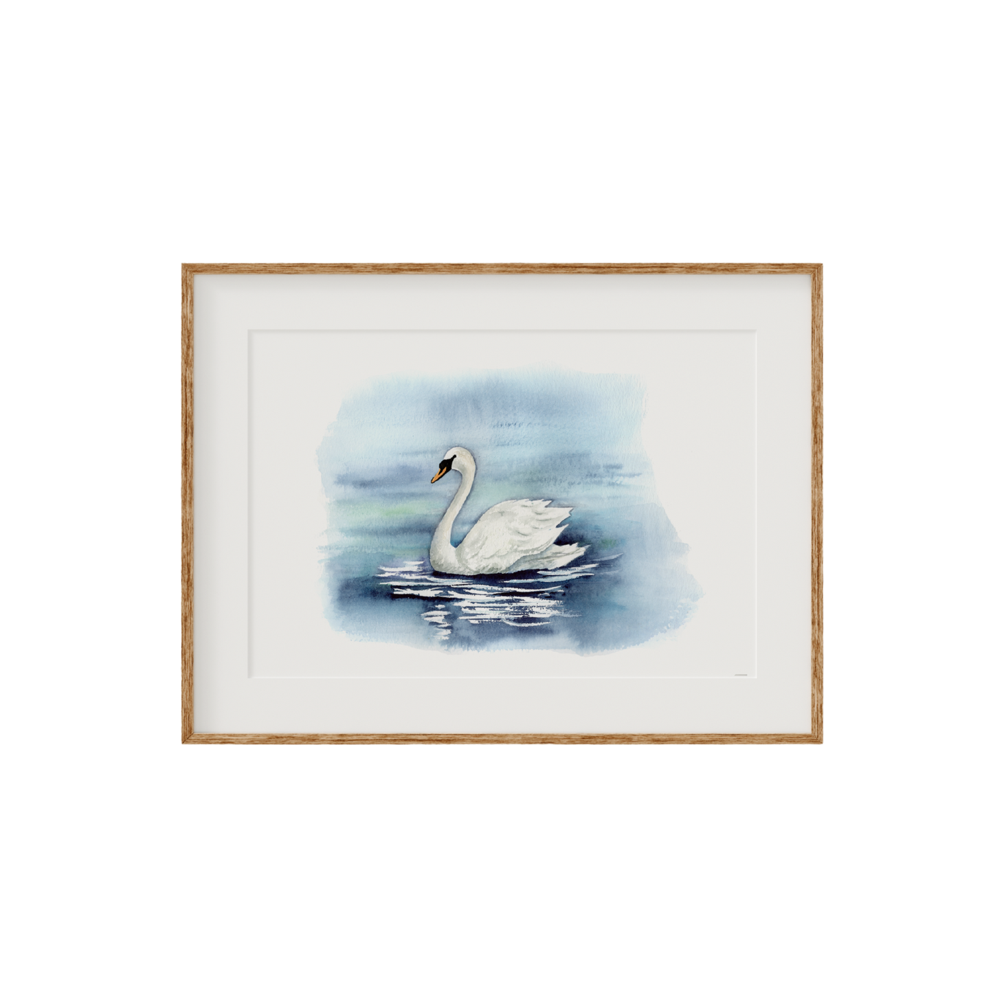 Swan Fine Art Print