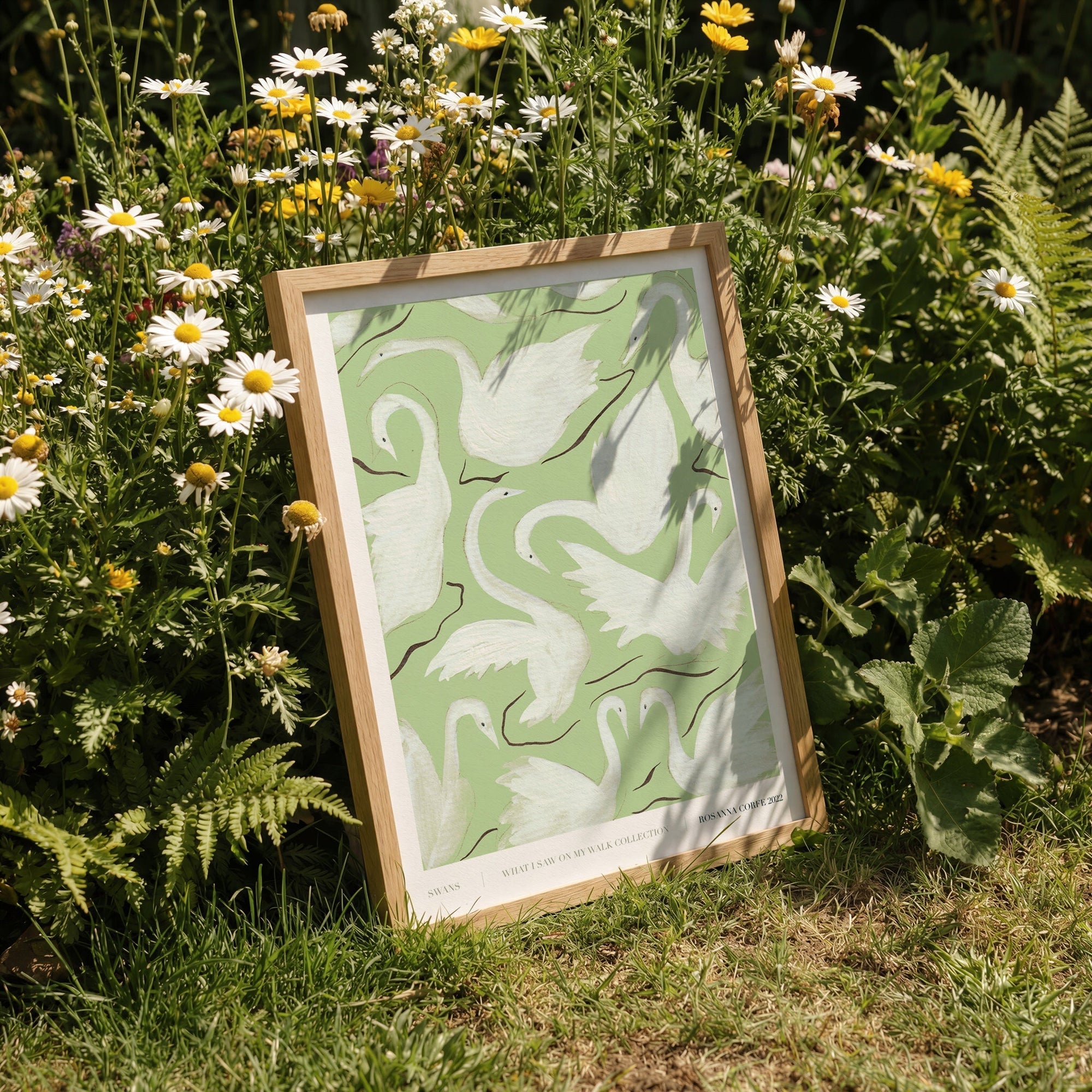 Swans Green Art Print