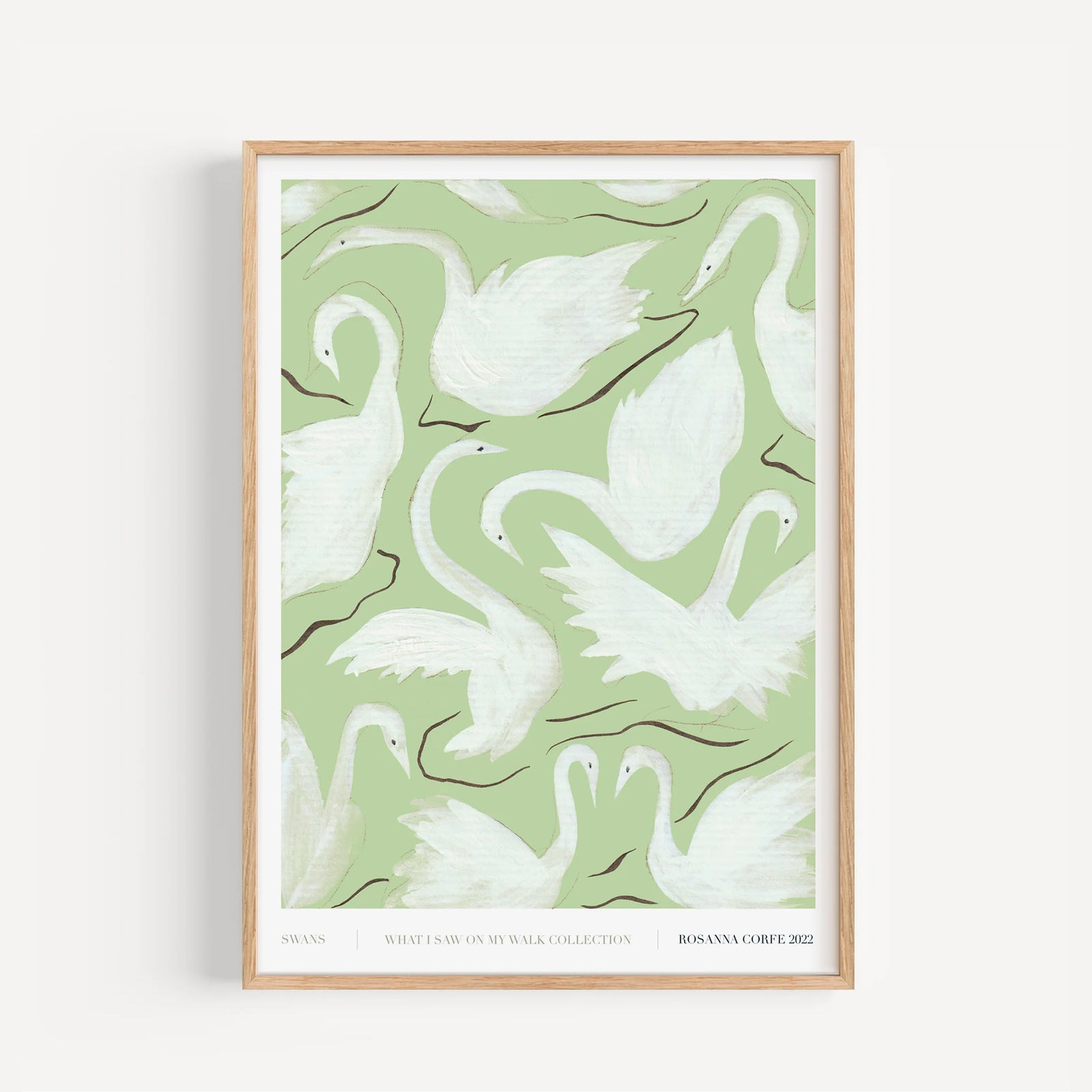 A3 - Swans Print