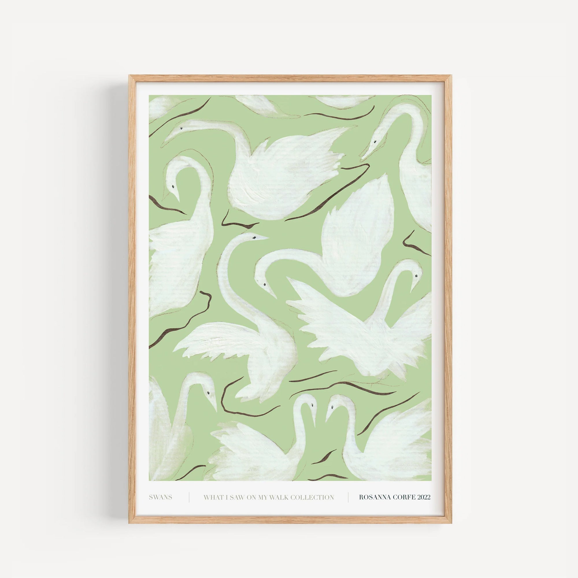 A3 - Swans Print