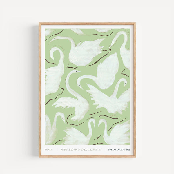 A3 - Swans Print