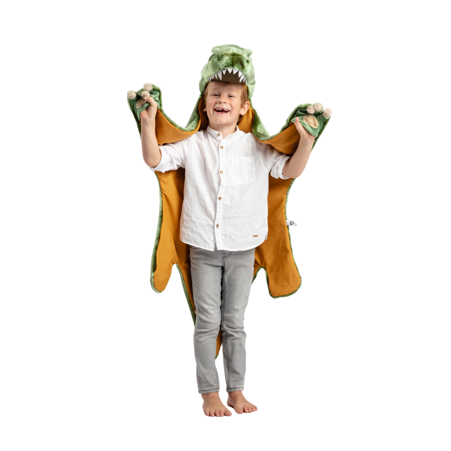 T-Rex Costume