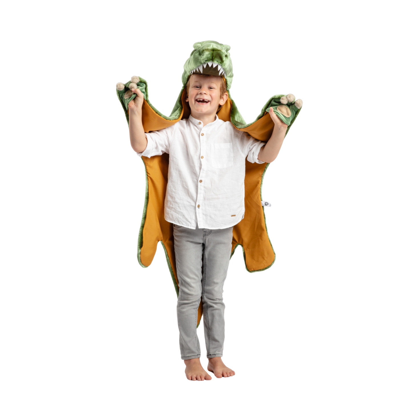 T-Rex Costume