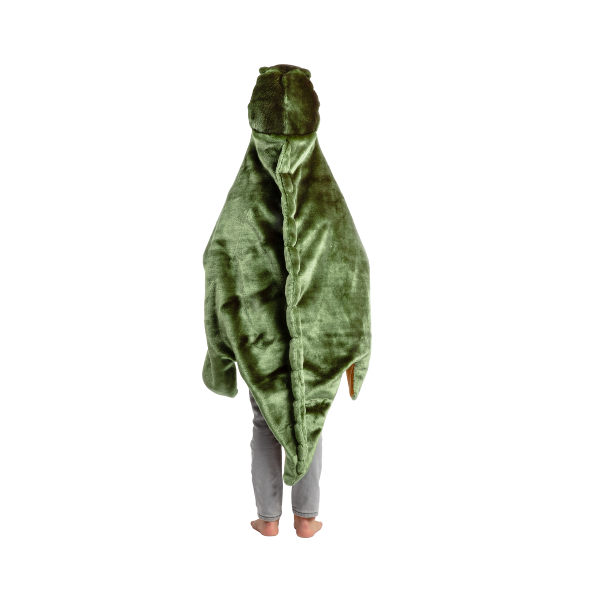 T-Rex Costume