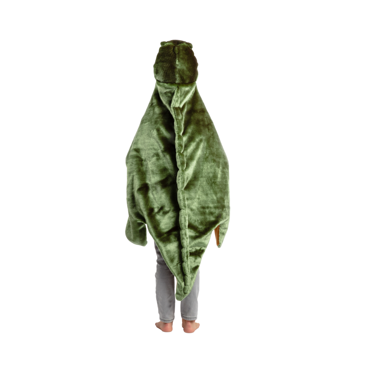 T-Rex Costume
