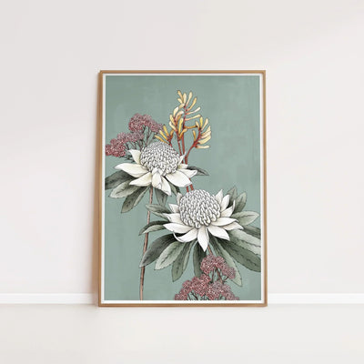 T2183_waratah.jpg