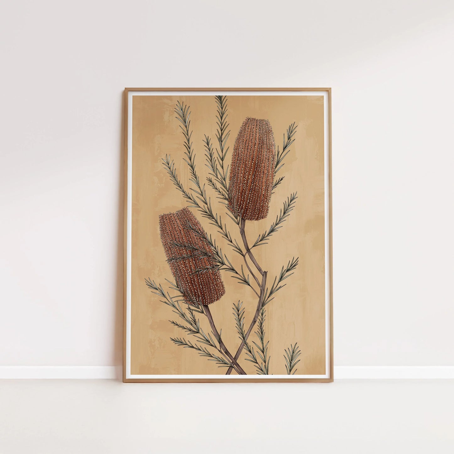 T2185_banksia.jpg