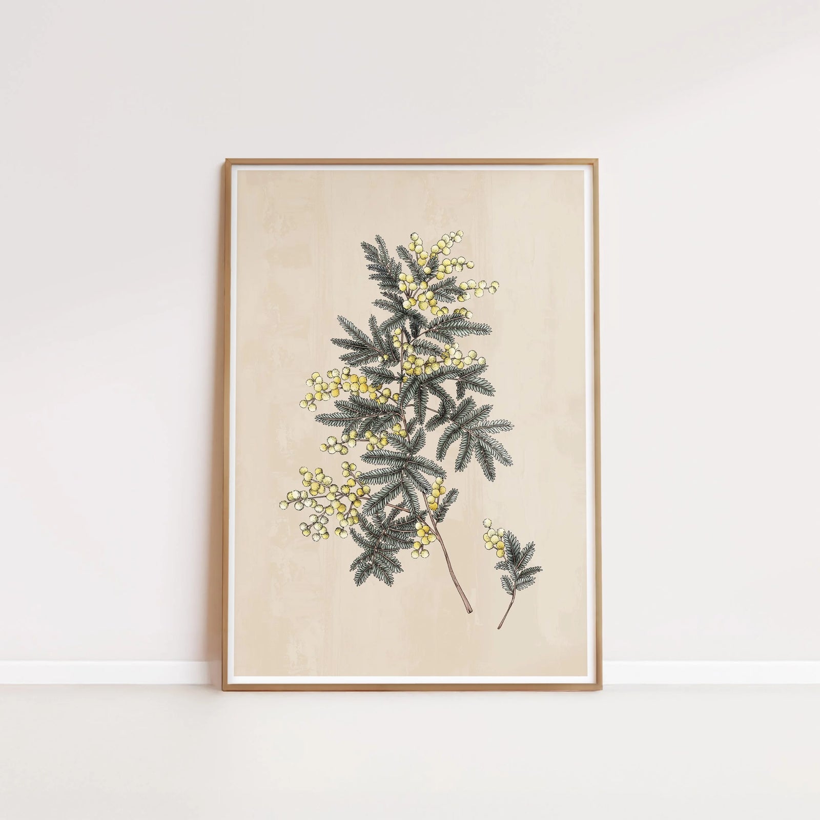 T2187_wattle.jpg