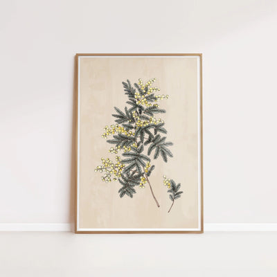 T2187_wattle.jpg
