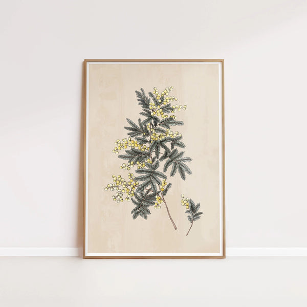 T2187_wattle.jpg
