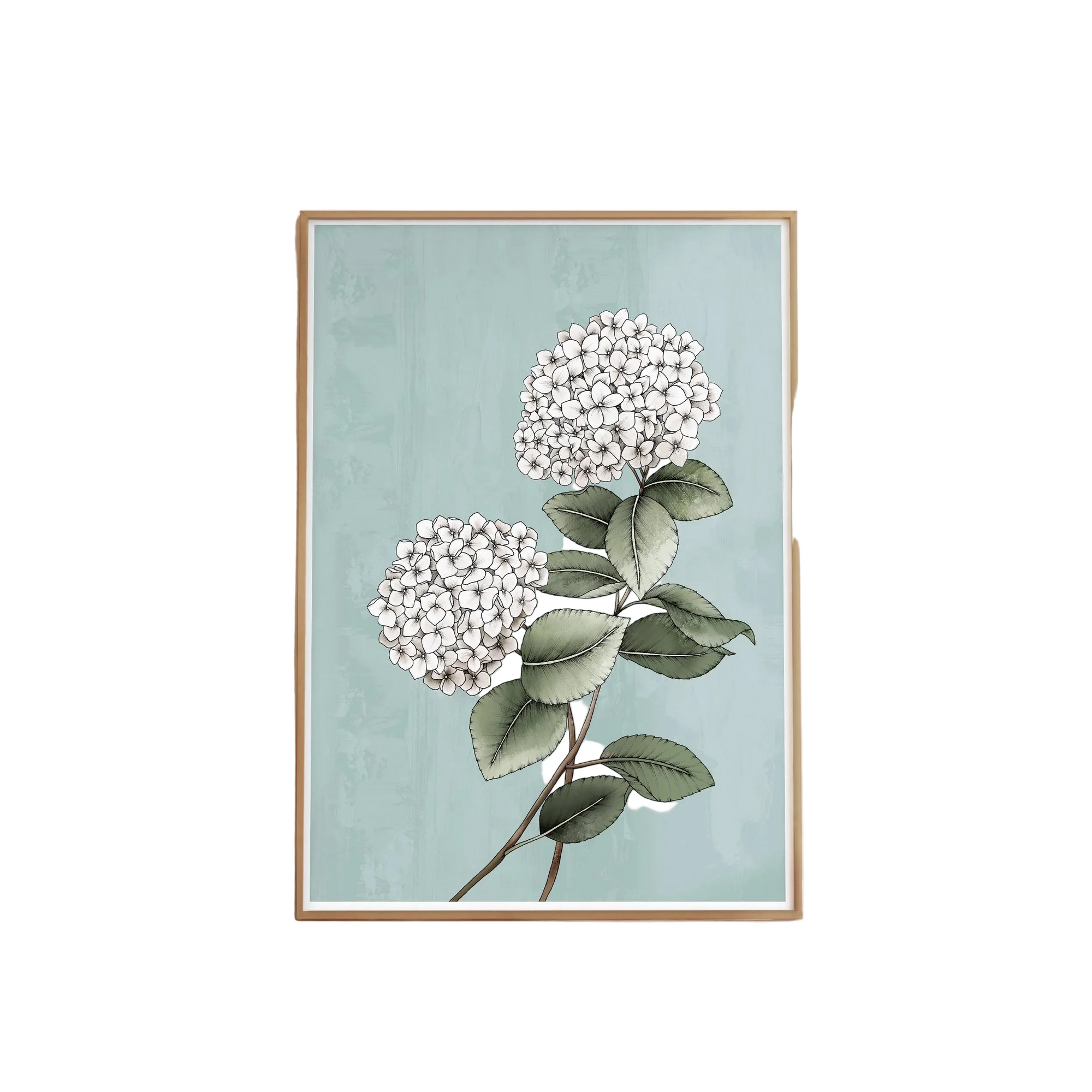 Hydrangea Portrait Artprint
