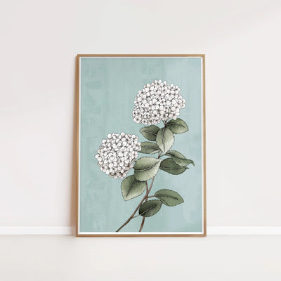 T2278_hydrangea.jpg
