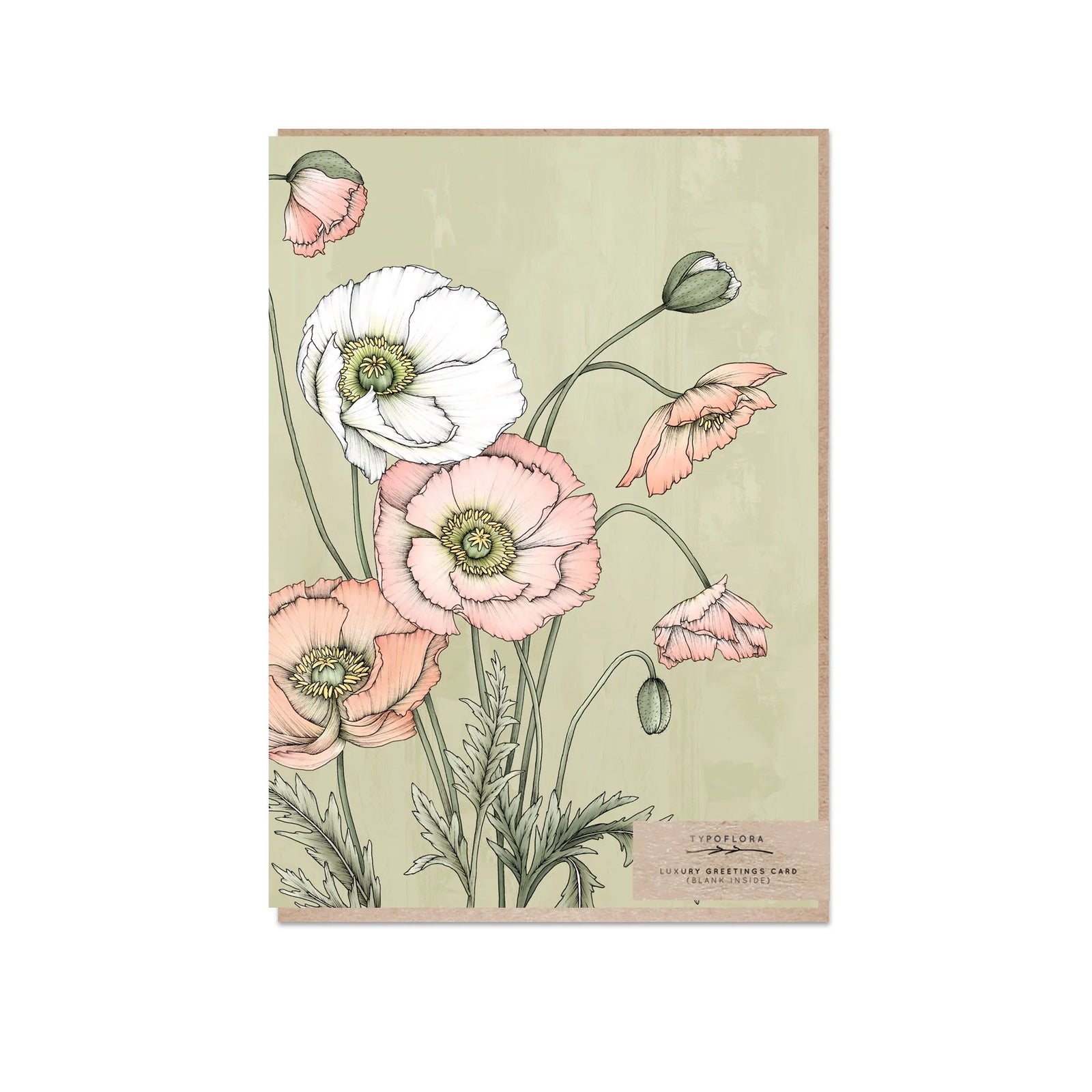 Poppies in Sage Card