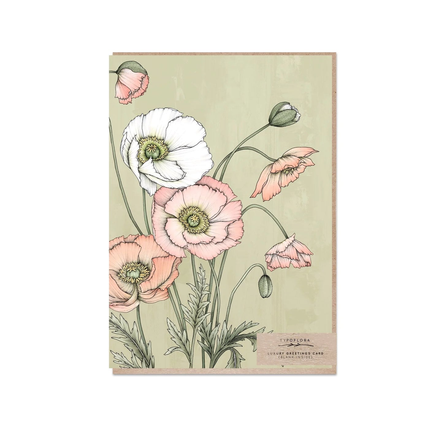 Poppies in Sage Card