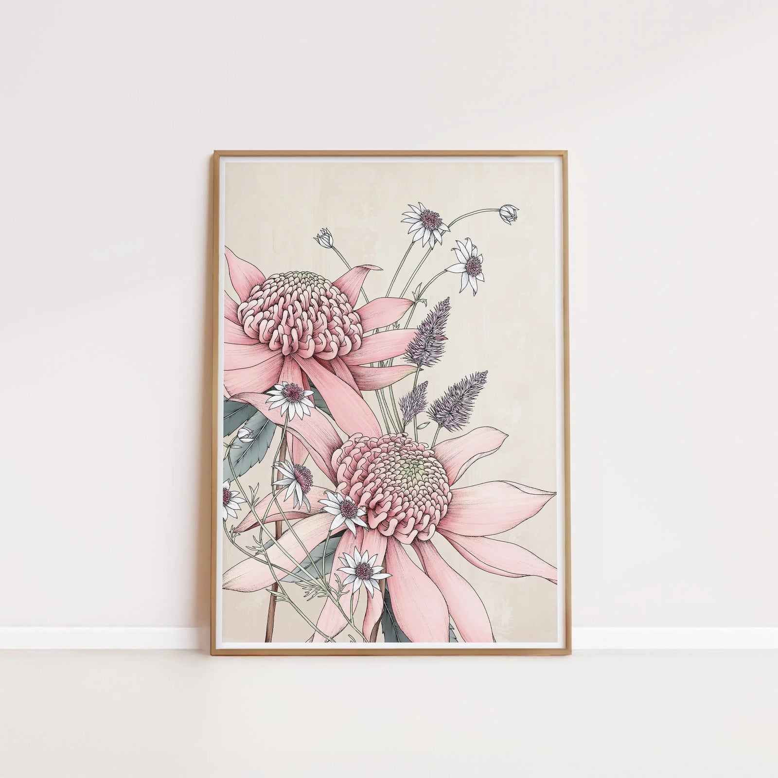 T2392_pink_waratah.jpg