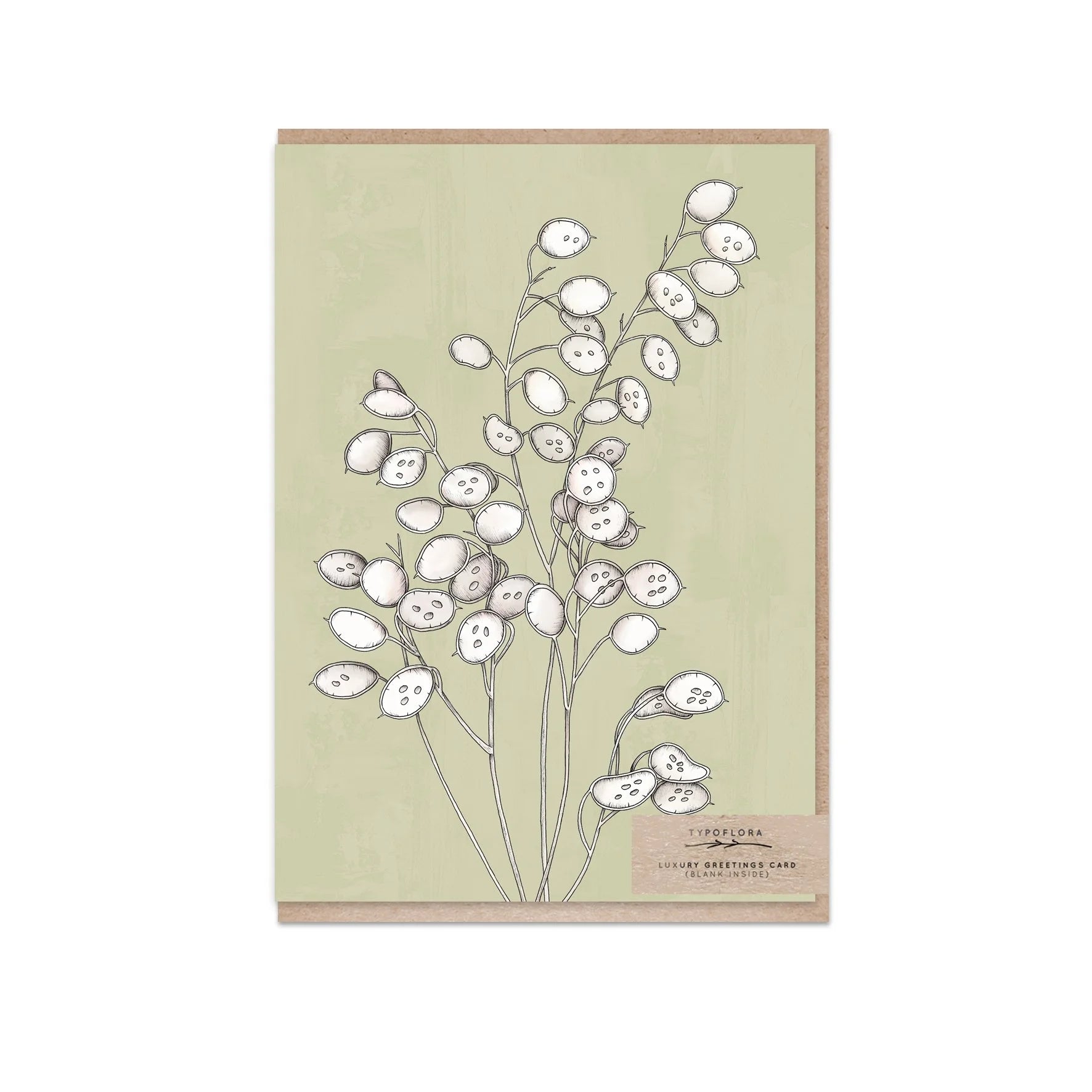Honesty Portrait Card