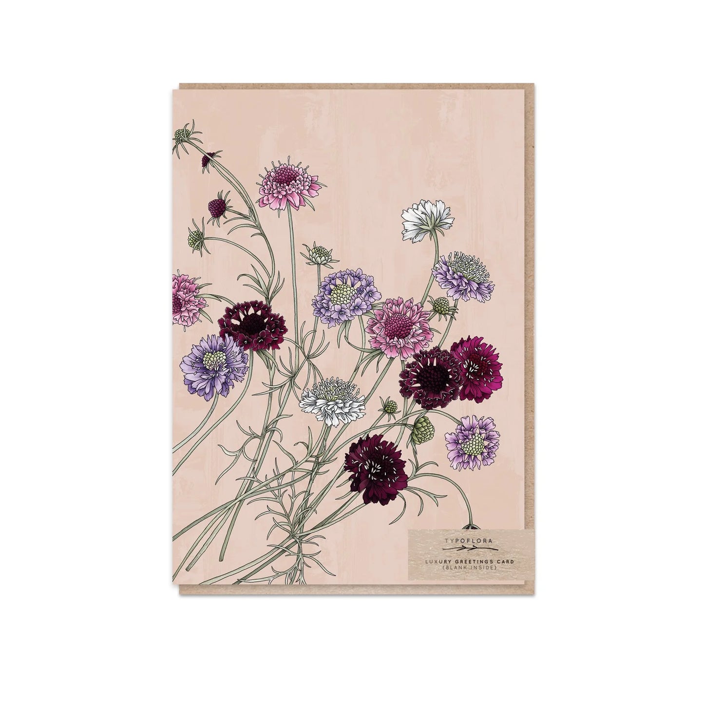 Pincushion Flowers Portrait Card