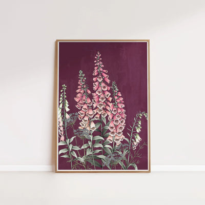 T2468_foxglove.jpg