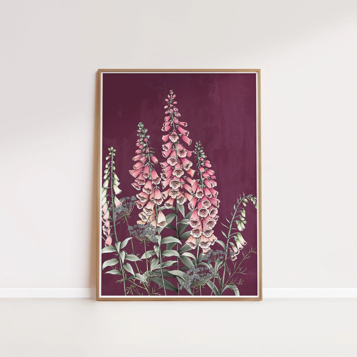 T2468_foxglove.jpg